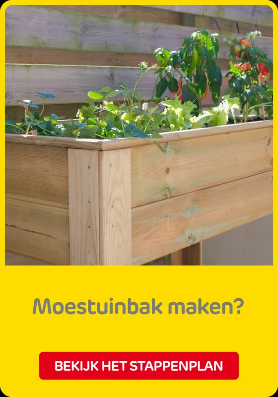 Stappenplan moestuinbak maken