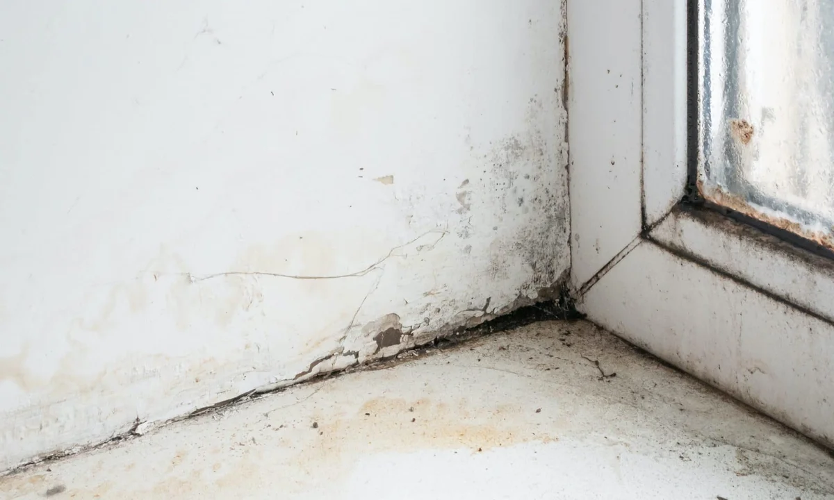 Cauberg Huygen photo - Amsterdam sustainability organization