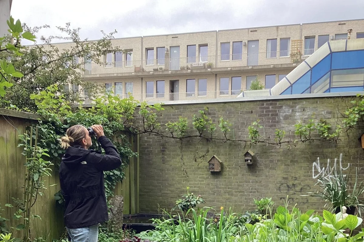 Actueel - Ecologisch advies bij bouwwerkzaamheden - uitgelicht