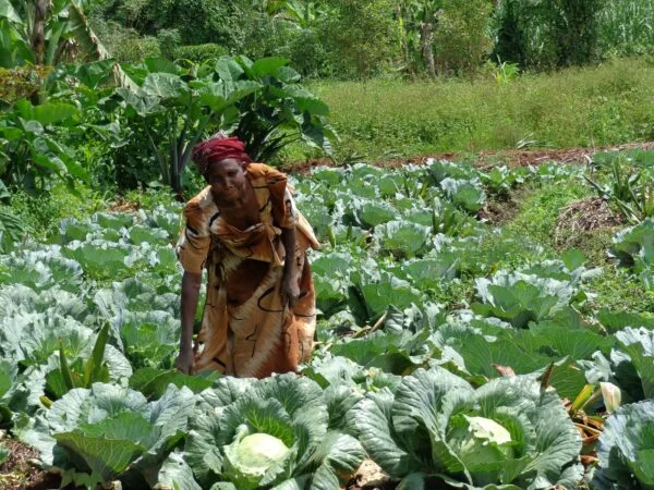 RAIN photo - Amsterdam sustainability organization
