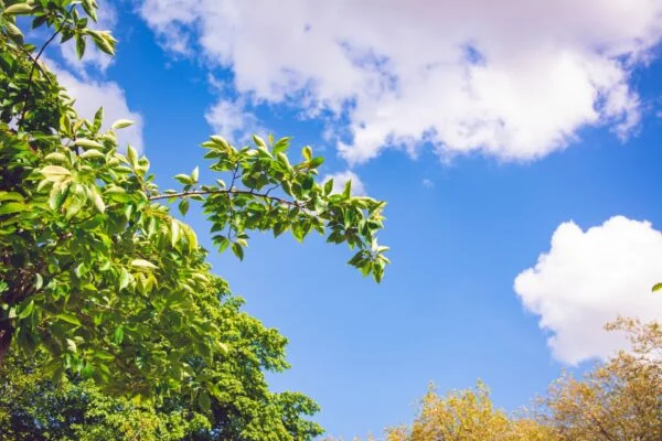 RAIN photo - Amsterdam sustainability organization